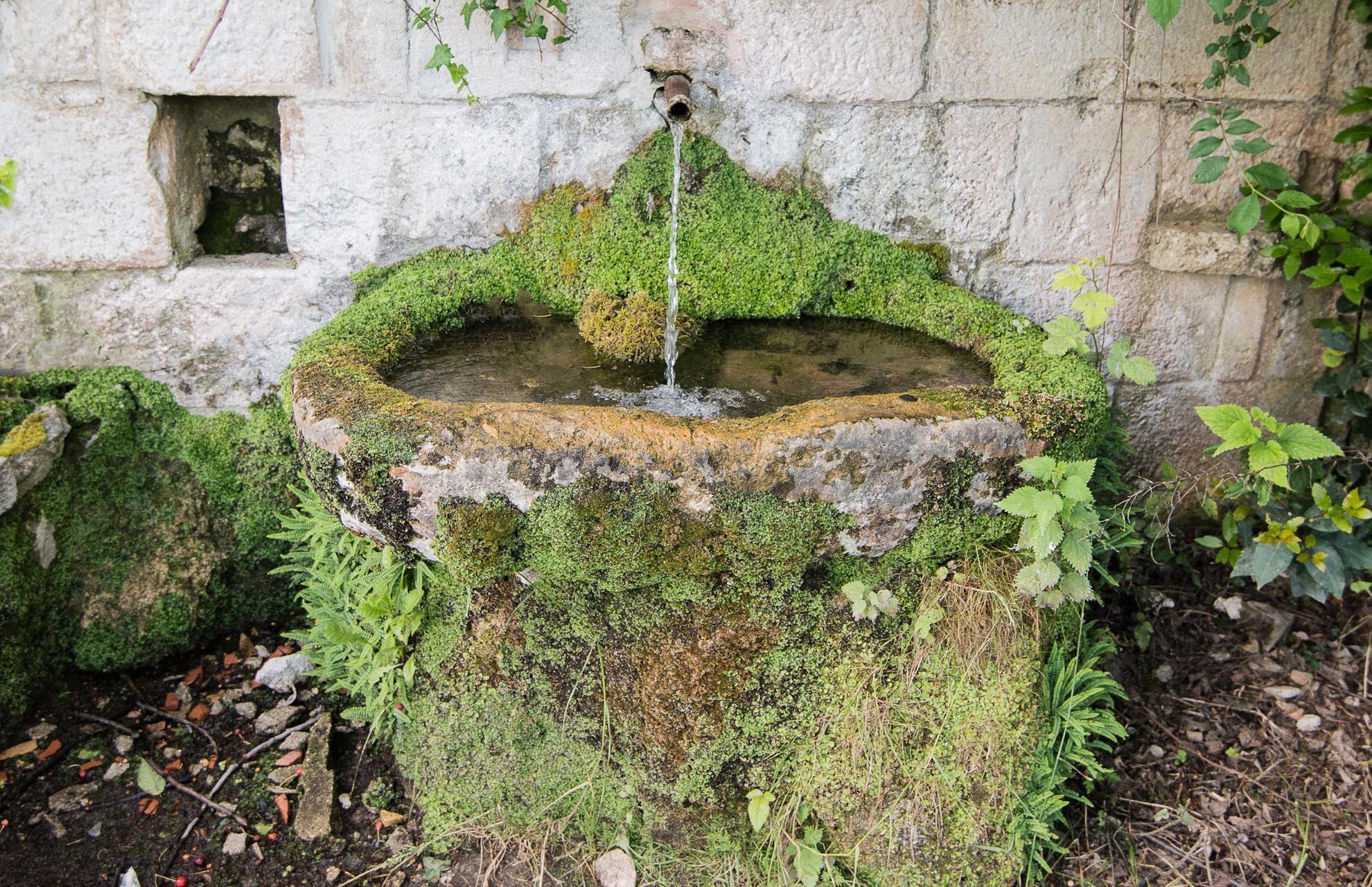 fontana verde